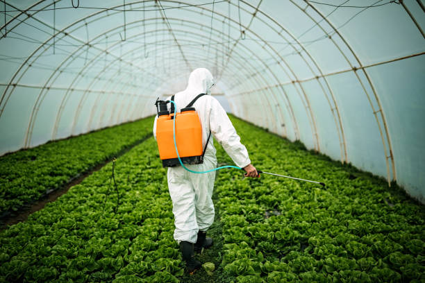 Best Pest Prevention Services  in Mount Ephraim, NJ