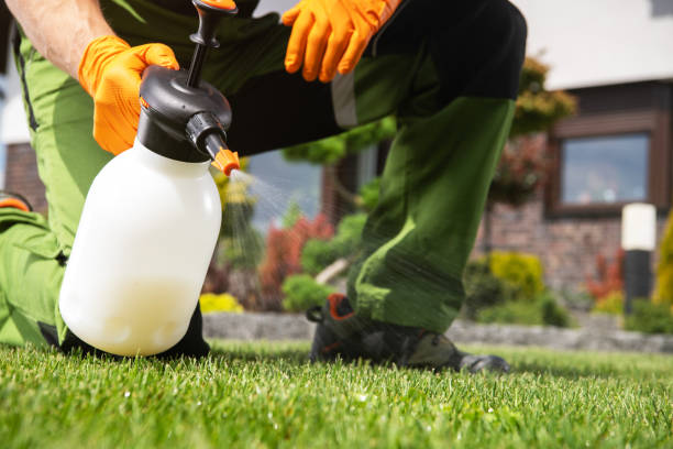 Best Mosquito Control Services  in Mount Ephraim, NJ