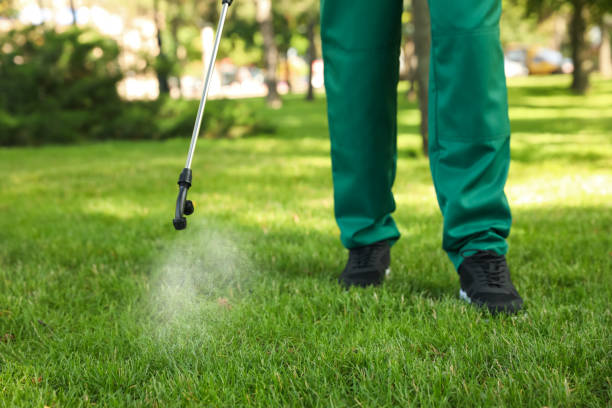 Best Flea Control Services  in Mount Ephraim, NJ
