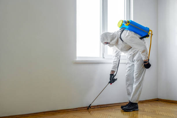 Best Spider Control Near Me  in Mount Ephraim, NJ