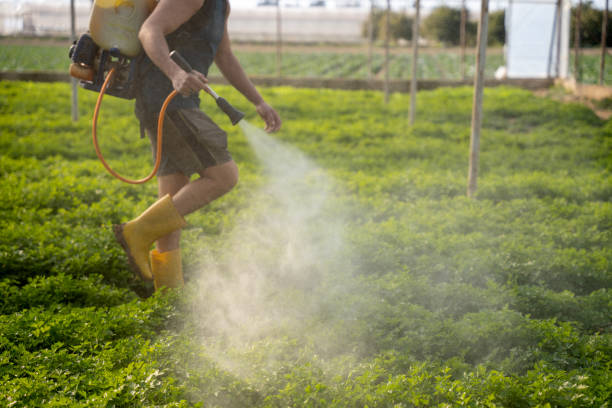 Best Commercial Pest Control Services  in Mount Ephraim, NJ