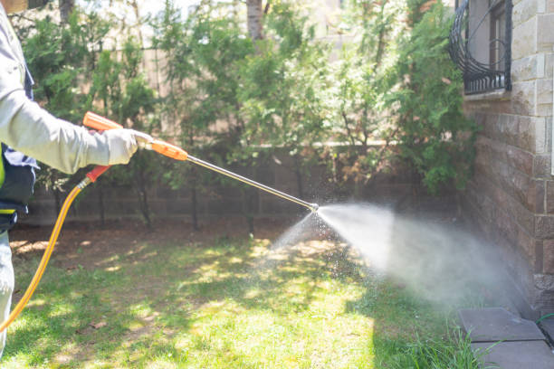 Best Exterminator Services  in Mount Ephraim, NJ