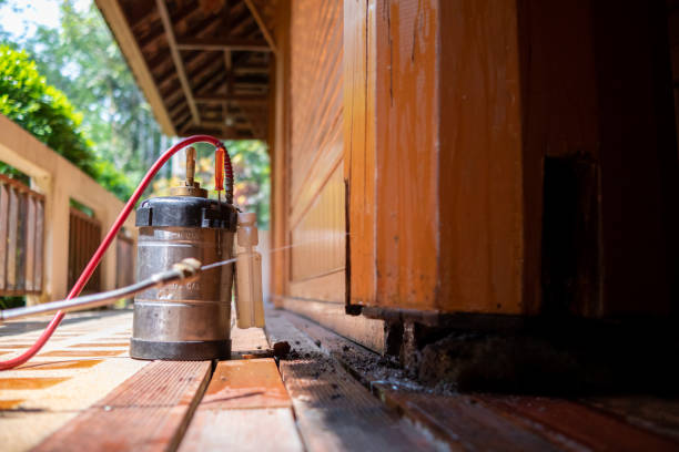 Pest Control Cost in Mount Ephraim, NJ