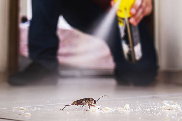 Best Wildlife Control Services  in Mount Ephraim, NJ