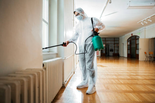 Best Wasp Removal Services  in Mount Ephraim, NJ